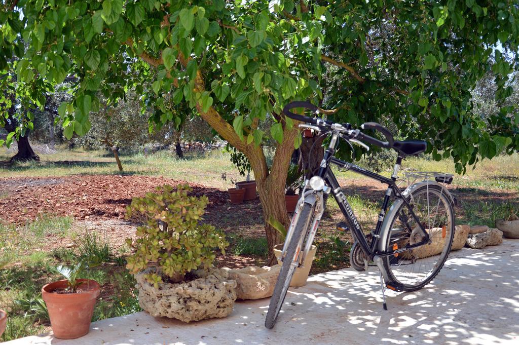 Agriturismo Tenuta Del Morige Galatone Ngoại thất bức ảnh