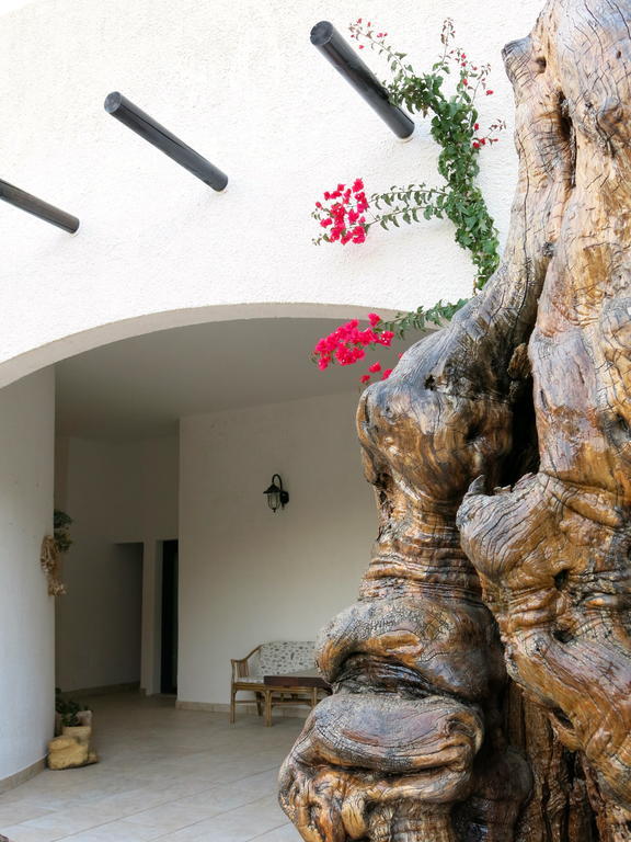 Agriturismo Tenuta Del Morige Galatone Phòng bức ảnh